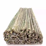 Bamboo