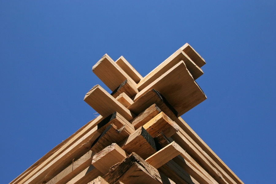 kayu albasiah adalah