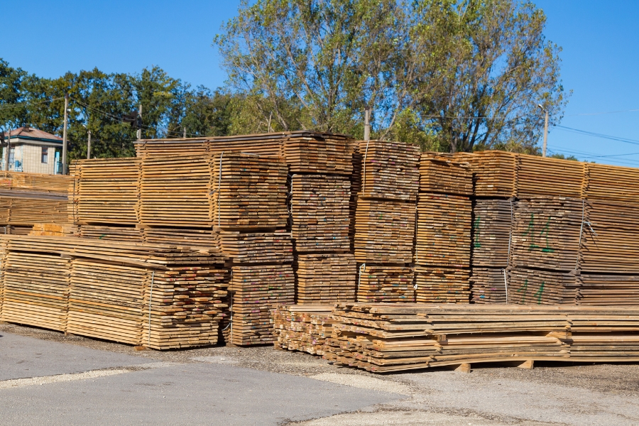 perbedaan polyfilm dengan phenolic film face