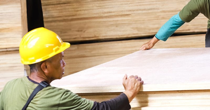 Tim Hojaya Kayu menangani plywood di gudang