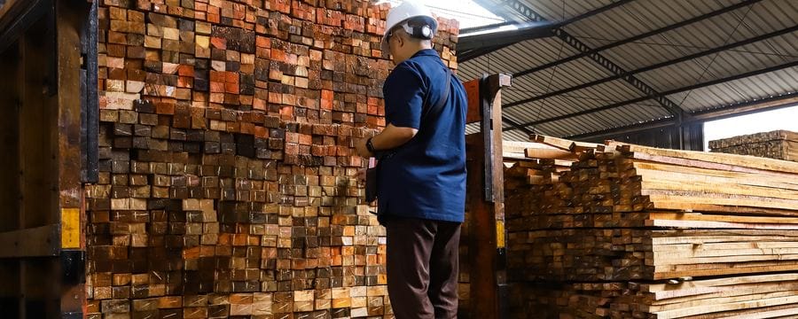 Quality inspector memeriksa kayu di gudang Hojaya Kayu