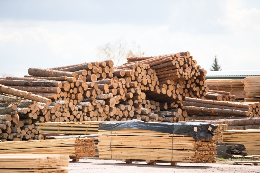 material kayu untuk furniture