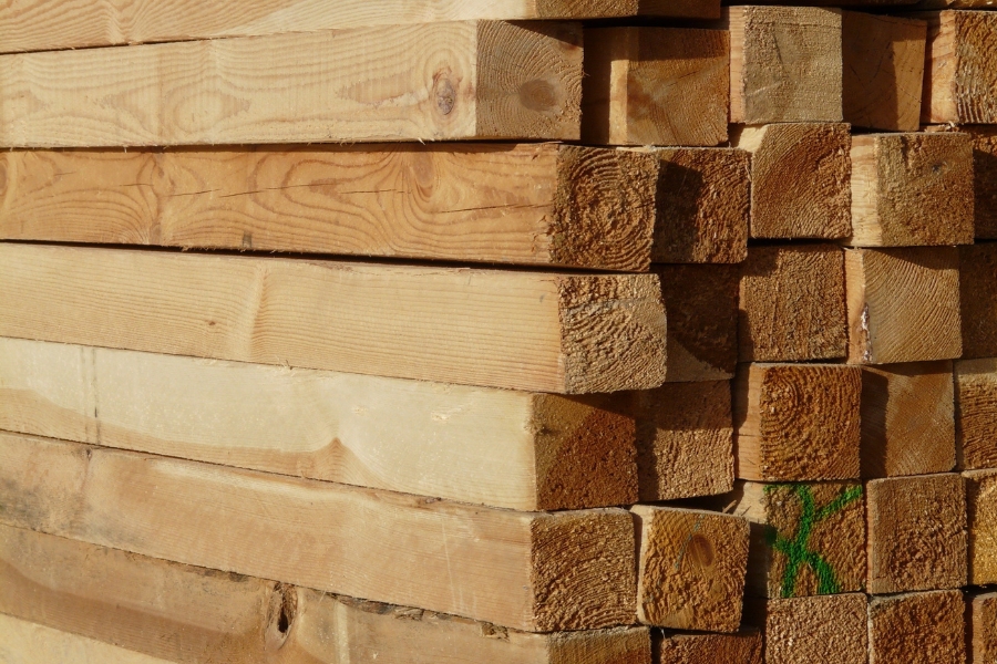 kayu racuk