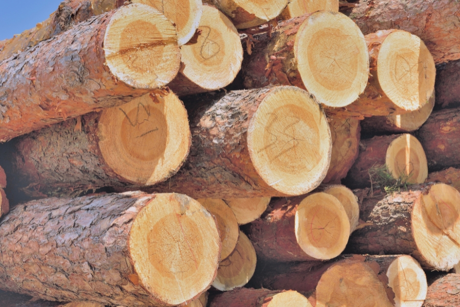 kekurangan kayu ulin
