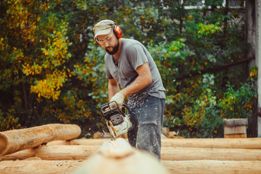 mengenal kayu kruing