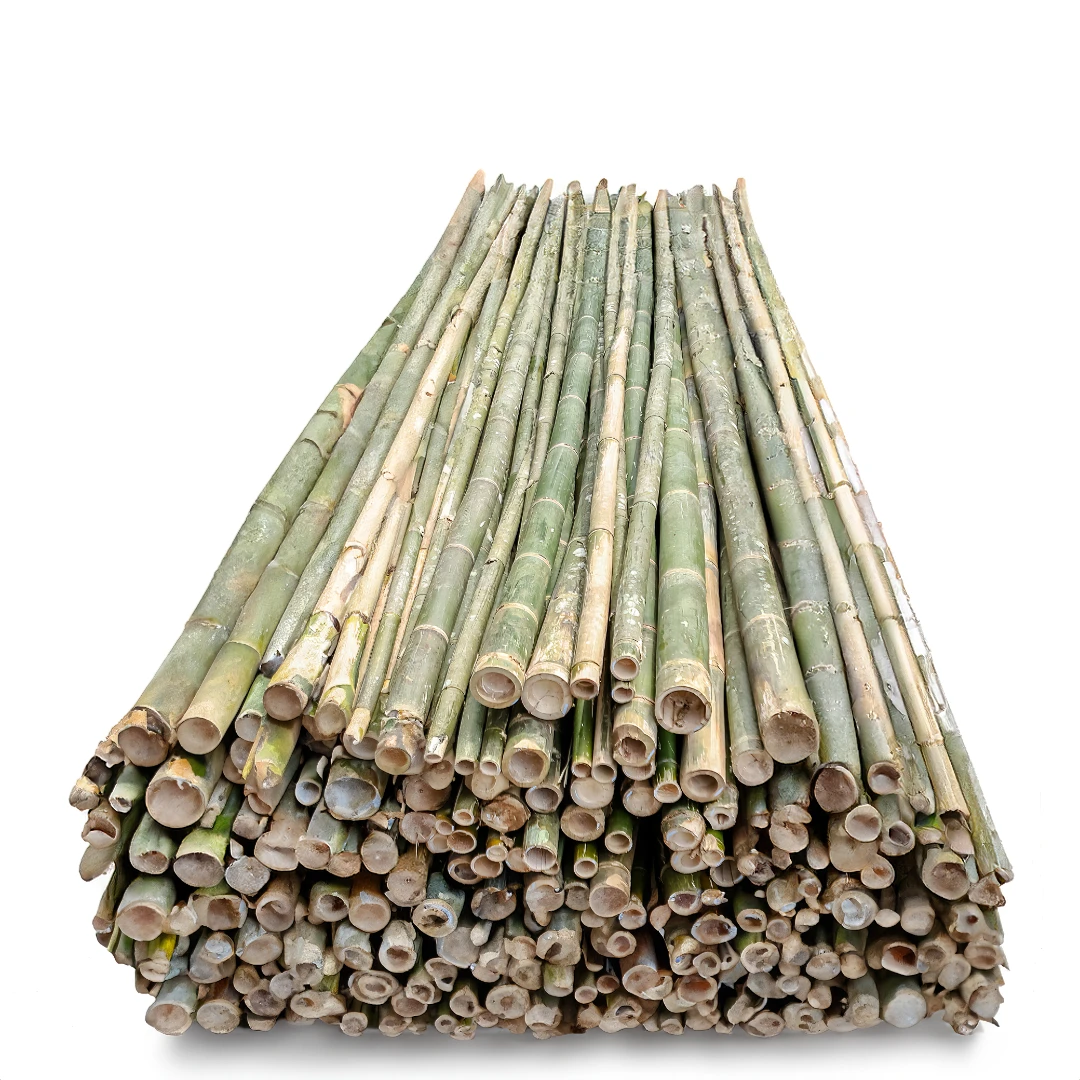 Bambu konstruksi &mdash; untuk scaffolding & perancah, stok distributor Bandung