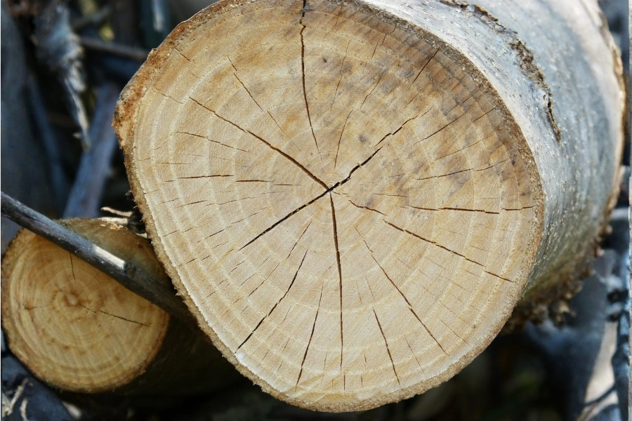 kayu retak
