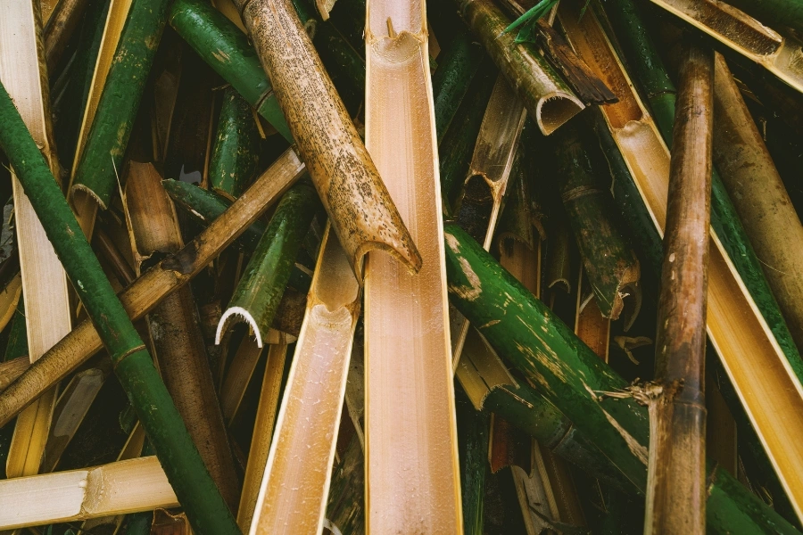 material bambu