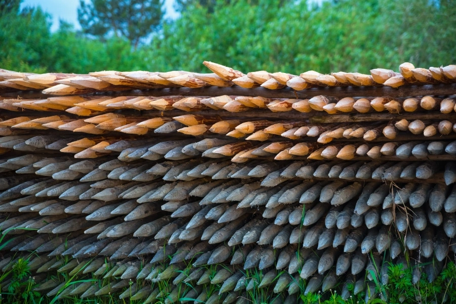 kayu dolken gelam